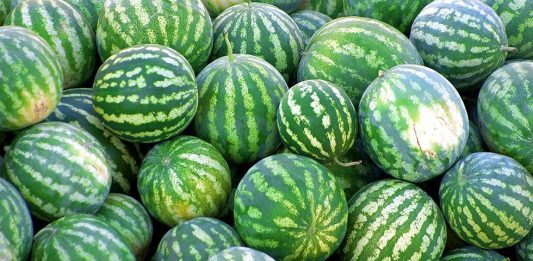 eb7392ae-cbae-4381-8a03-4a4d7dba149d_980x551-2