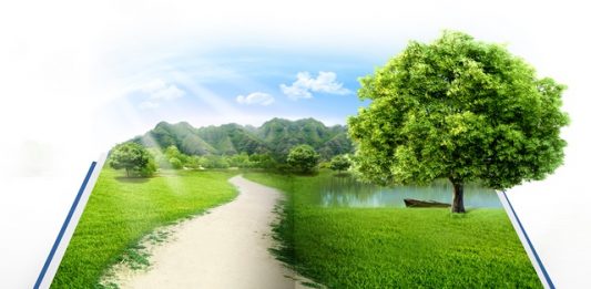 educacao-ambiental-4