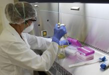 Embrapa inaugura moderno laboratório de segurança e qualidade da carne