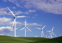 Mundo pode ter 100% de energia renovável até 2050, diz Greenpeace