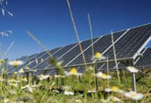 Índia e Albânia desenvolvem projetos de energias renováveis