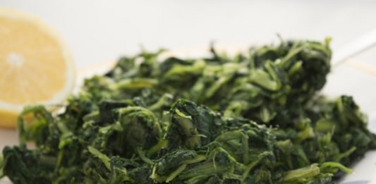escarola-2