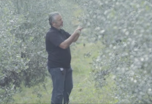 Executivo larga carreira para se dedicar a projeto ambiental