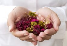 Hospitais tratam pacientes com plantas medicinais