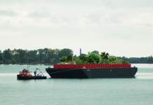 Floresta flutuante em NY vai produzir alimentos para a população