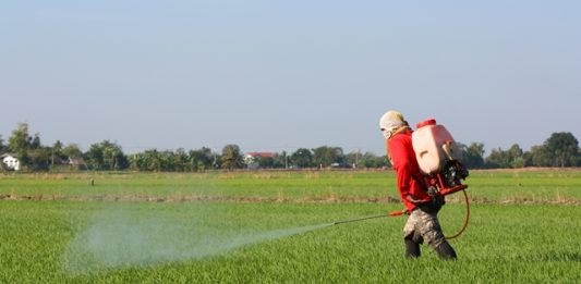 governo-pode-aprovar-comercio-de-agrotoxicos-que-podem-gerar-cancer-2