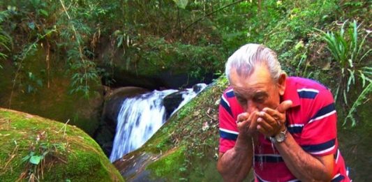 homem-constroi-propria-floresta-no-meio-mantiqueira-em-sao-paulo-2