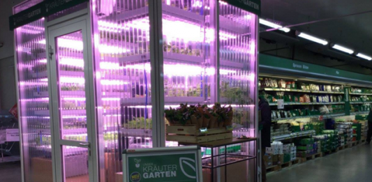 horta-indoor-2