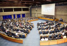 Governos examinam impactos ambientais antes da 1ª Assembleia Ambiental da ONU