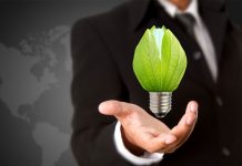 CDP convida novos investidores para dar apoio à economia sustentável