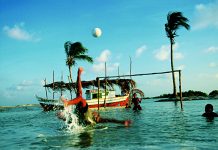 Exposição exibe as riquezas e curiosidades da floresta Amazônica através dos sentidos