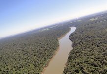 A importância da preservação dos rios e nascentes