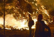 Incêndio atinge florestas e casas na região sul da Califórnia