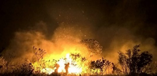 incendio-chapada-2