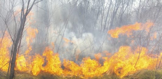 incendio-maranhao-2