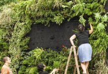 Minhocão deve ganhar primeiro jardim vertical permanente