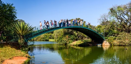 lagos-do-ibirapuera-serao-despoluidos-com-uso-de-jardins-filtrantes-2
