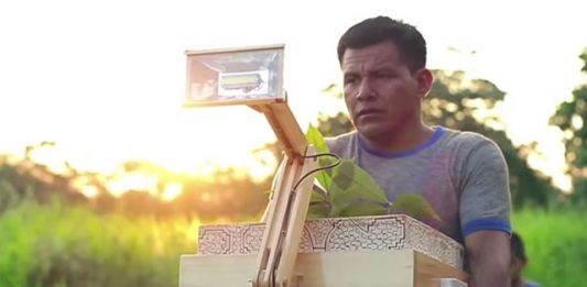 lampada-plantas-2