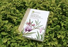 Livro reúne informações sobre quase 400 espécies de plantas medicinais