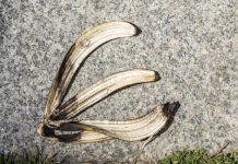 Aprovado projeto que multa quem joga lixo no chão