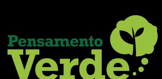 logo_pv21-2