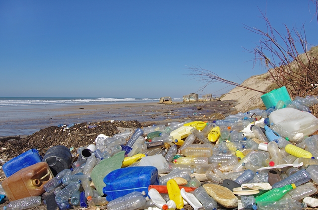 foto de praia cheia de lixo plástico