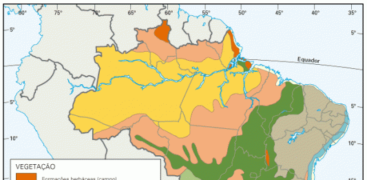 mapa-vegetacao-brasil