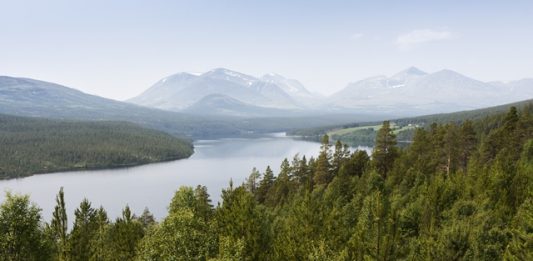 noruega-se-compromente-com-desmatamento-zero-2