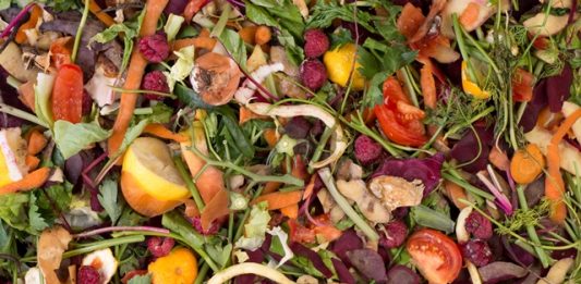 o-que-e-economia-regenerativa-2