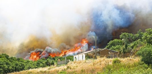 o-que-fazer-quando-houver-incendios-florestais-2