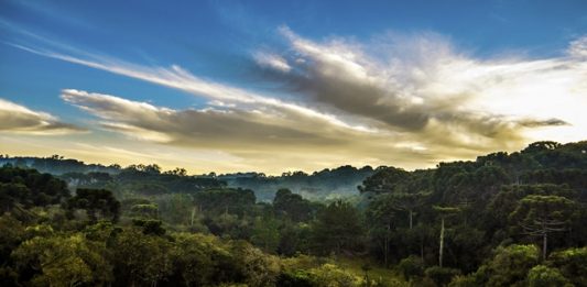parana-vai-mapear-areas-de-risco-do-estado-2