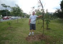 “Este é o meu legado”, diz morador da Zona Leste que plantou, sozinho, 19 mil árvores
