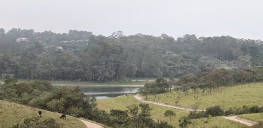 parquedosbufalos-2