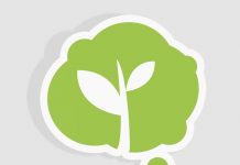 Pensamento Verde ganha novamente o Prêmio Influenciadores Digitais