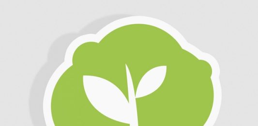 pensamento-verde-5
