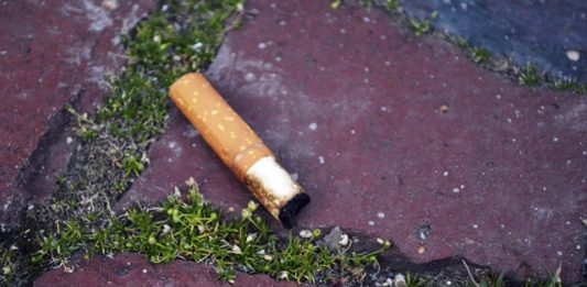 pesquisador-produz-tijolos-usando-bitucas-de-cigarro-2