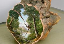 Artista faz belas pinturas em tocos de árvores