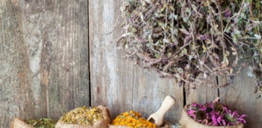 plantas-medicinais-2