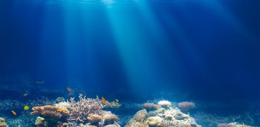 poluicao-sonora-oceanos-2