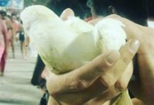 Escola de samba Salgueiro mata pombos durante ensaio técnico na Sapucaí