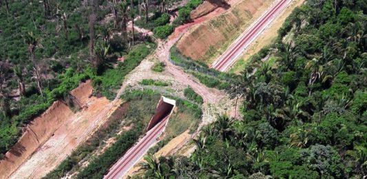 primeiro-viaduto-de-travessia-de-fauna-do-brasil-2