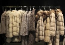 Lei proíbe uso de peles de animais em São Paulo