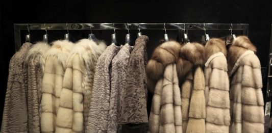 proibicao-do-uso-de-pele-de-animais-em-sp-2