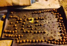 Projeto usa bombas de sementes para reflorestar Chapada do Araripe