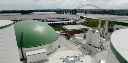 rede-de-supermercados-reaproveita-alimentos-para-gerar-propria-energia-2