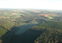 O que são sumidouros de carbono?