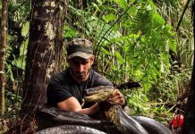 Ambientalistas protestam contra naturalista que diz ter sido engolido por sucuri