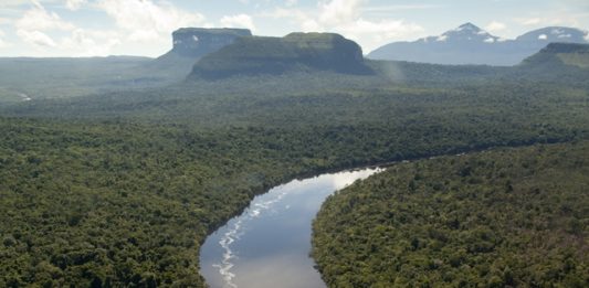 seriam-necessarios-300-anos-para-contar-o-numero-de-arvores-na-amazonia-2