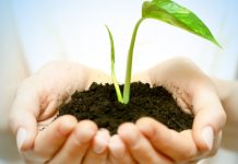 Startup desenvolve sensor para horta e tomada que controla o consumo de energia