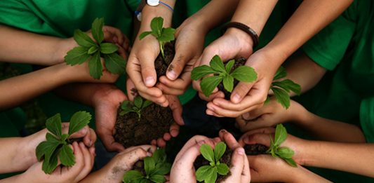 sustentabilidade-10